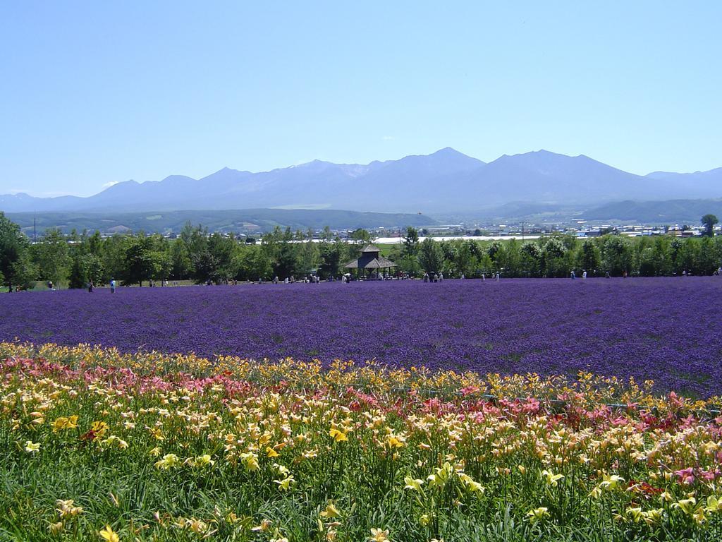 Furano Prince Hotel Экстерьер фото